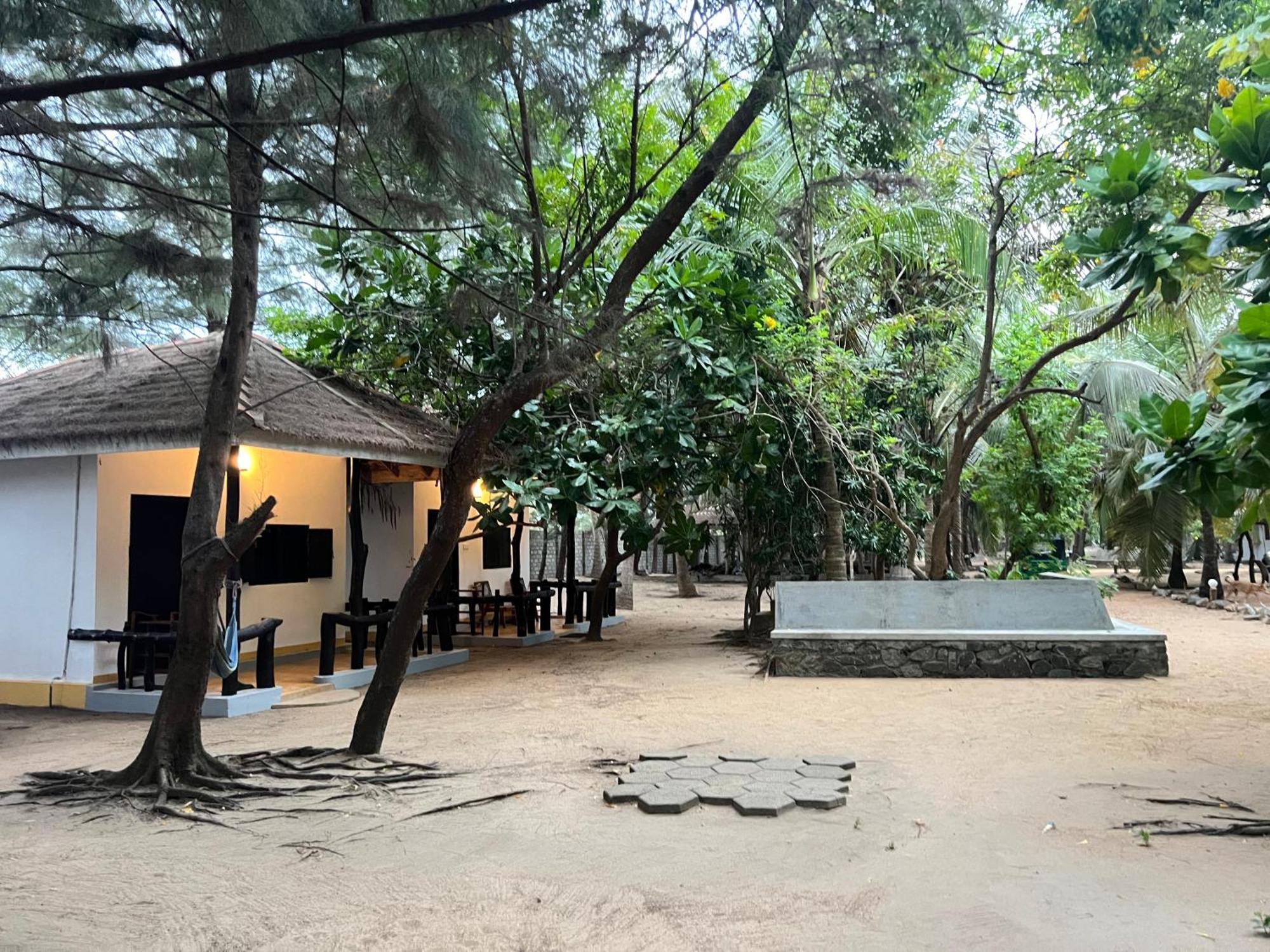 Sand Dune Beach Resort & Surf Camp Arugam Bay Dış mekan fotoğraf
