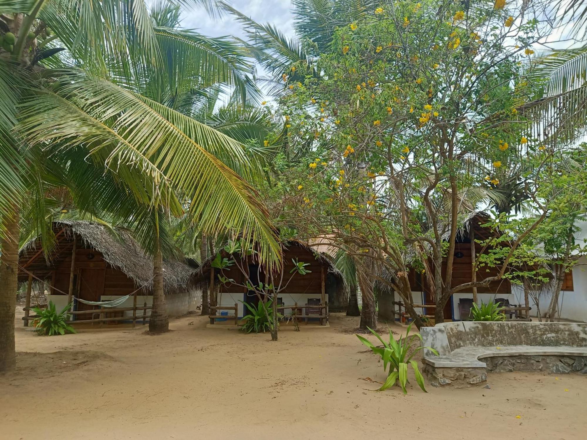 Sand Dune Beach Resort & Surf Camp Arugam Bay Dış mekan fotoğraf
